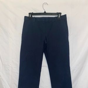 Ann taylor Blue Capri Pants